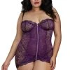 Dreamgirl Nuisette Plum Zippée