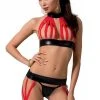 Passion Lingerie Ensemble Aziza